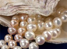 Pearls & Precious Stones Trading